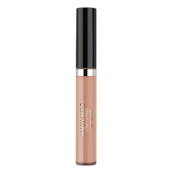 Long Lasting Concealer