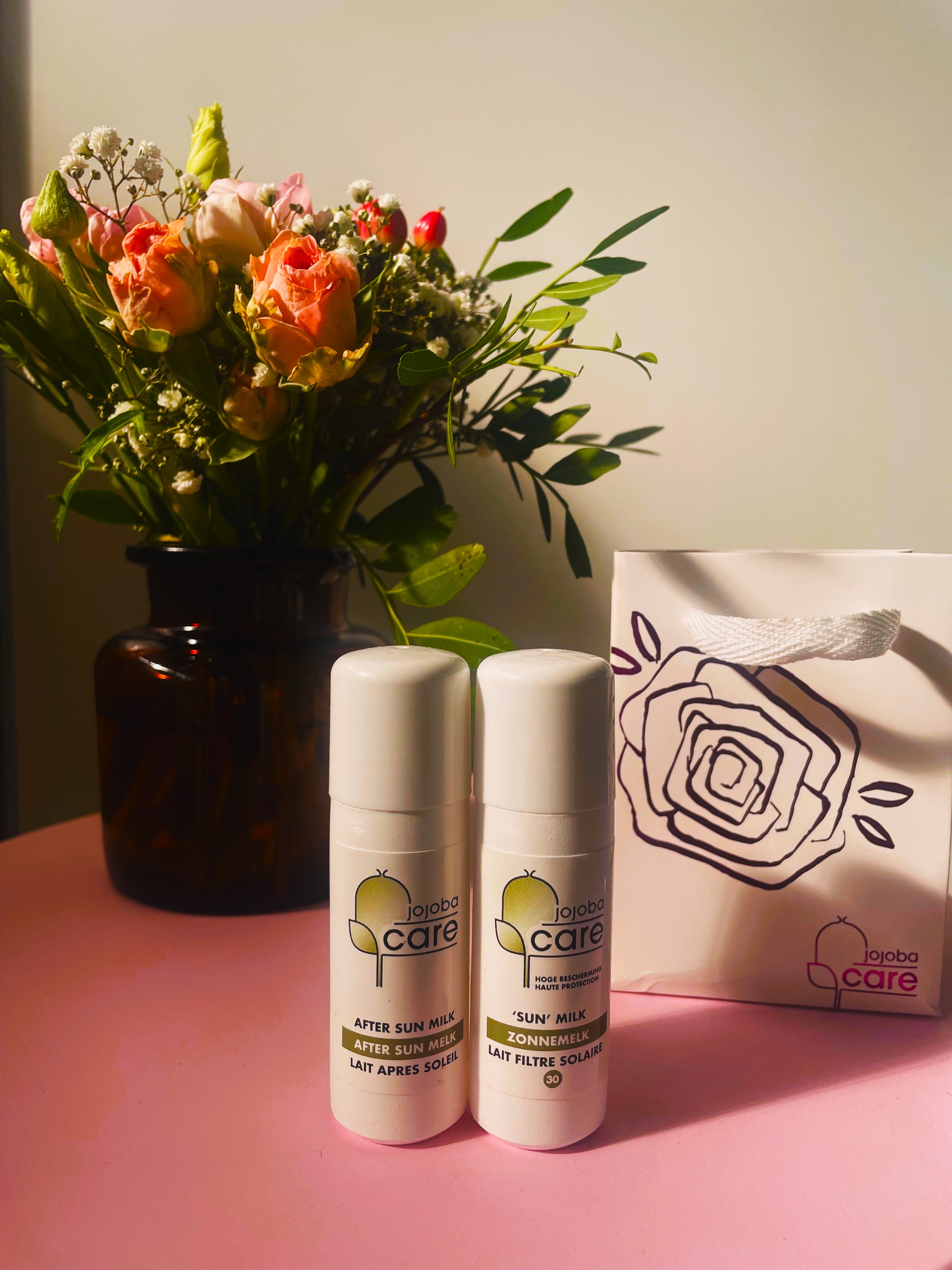 Kit solaire de voyage
